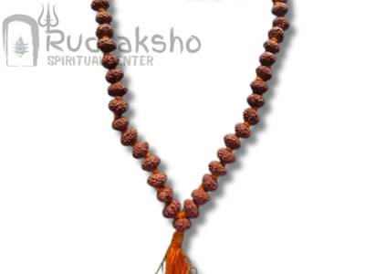 9 Mukhi Mala